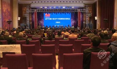 咸宁市第29届老年书画展暨赤壁笔会在赤壁开幕