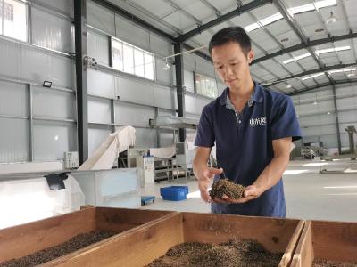 恩施：茶厂落户助茶农稳步增收