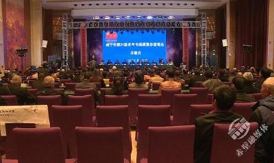 咸宁市第29届老年书画展暨赤壁笔会在赤壁开幕