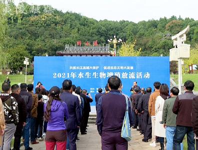 夷陵区开展增殖放流活动 50万尾鱼苗入住“黄柏河”