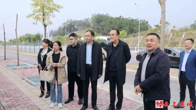 湖北海王医药集团来通城县考察中医药产业发展情况