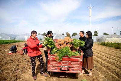 清廉湖北丨白鹤岗村：生态宜居、乡风文明的清廉村居样本