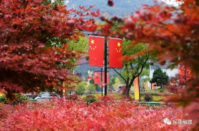 【乡村发现】保康：七彩风景，醉了游人