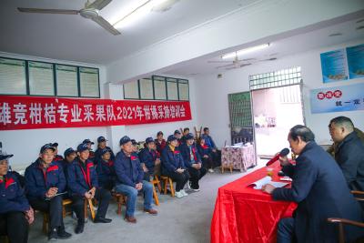 秭归归州镇开展柑橘采摘和防冻技术培训