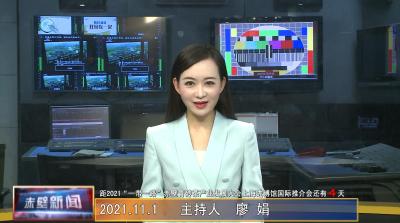 11月01日电视新闻
