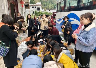 咸丰县妇联积极开展消费助农活动