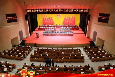 【聚焦两会】通城县第十九届人民代表大会第一次会议开幕