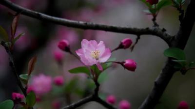 观音湖：追求人与自然的和谐共生