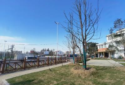 云梦：全面推行路长制 打造道路生态廊道