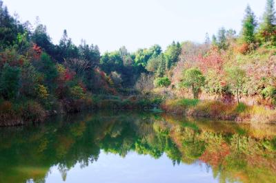 【组图】恩施建始县陇里村：青山溪水间的幸福家园