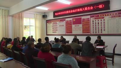 组织有序，程序严格！保康村（社区）“两委”换届选举工作稳步推进……