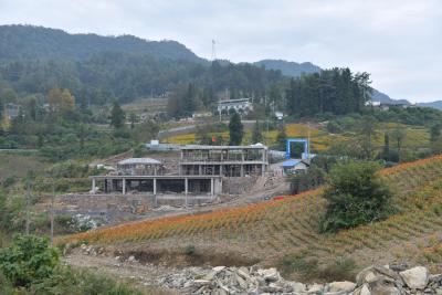 恩施 | 宣恩珠山：升级花海游步道 着力打造田园风光特色体验游