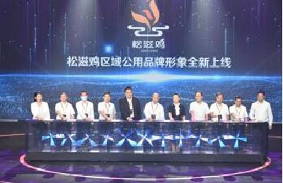 荆州：激活乡村振兴引擎 松滋聚力打造4大农业产业链