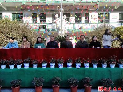 通城县实验小学：阳光运动强体魄 体操比赛展风采
