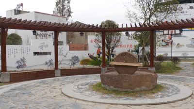 安陆巡店镇大坝村：美丽乡村入画来