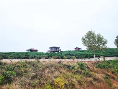 以“绿”为底 铺就乡村振兴路