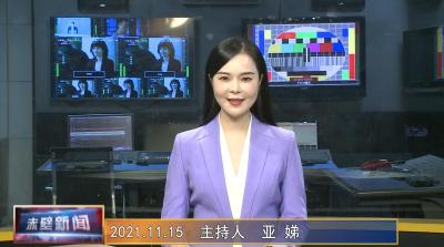 11月15日电视新闻