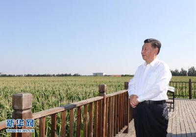 学习进行时丨谈到这个问题，习近平每句话都很重