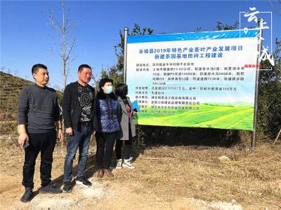 谷城农技中心：助力“一村一品” 服务“农业特县”