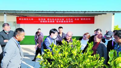 大冶市举办党的十九届六中全会精神专题示范宣讲报告会暨湖北省“理论热点面对面”示范点“五送”惠民活动:理论宣讲接地气 “五送”惠民暖人心