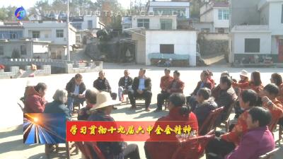 罗田县河铺镇：“乡音”传递十九届六中全会精神