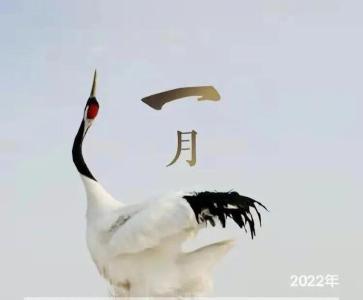 放假三天，不调休、不免费！