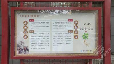 市中医医院：融合中医药与清廉文化 助力“清廉医院”建设