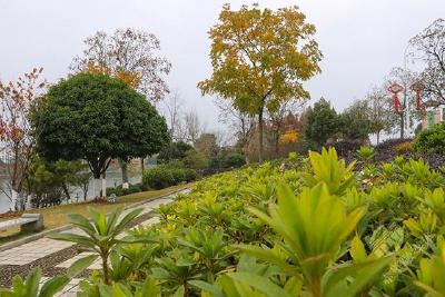 走进社区看小康⑨丨青泉社区：风景美如画 有颜值有特色