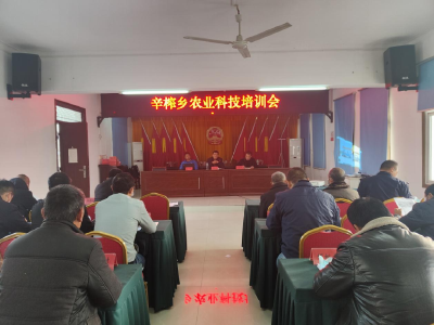【我为群众办实事】安陆：课堂讲解，田间指导——辛榨乡农技专家为小麦安全越冬“支招”