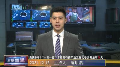 12月15日电视新闻