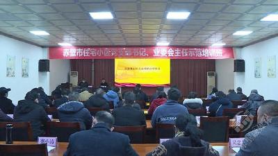 赤壁市举办小区党支部书记、业委会主任示范培训班