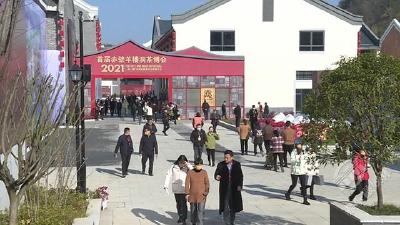 首届赤壁羊楼洞茶博会引万人空巷