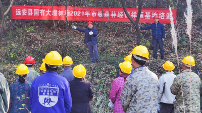 远安县召开国有大堰林场2021年市级森林经营样板基地培训
