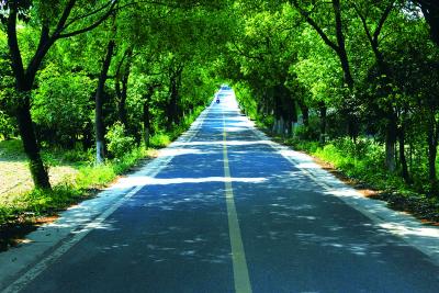 大冶陈贵镇：打造乡村振兴“样板间”