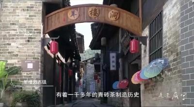 《家住长江边》之忆三国赤壁，重走万里茶道