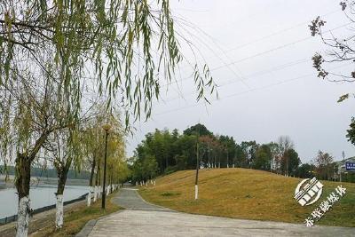 走进社区看小康⑨丨青泉社区：风景美如画 有颜值有特色
