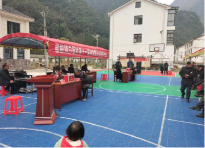 配强班子，优化队伍 神农架林区各乡镇圆满完成村、社区“两委”换届选举工作