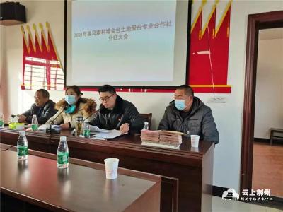 荆州区马山镇：参社入股享分红 增收致富笑开颜