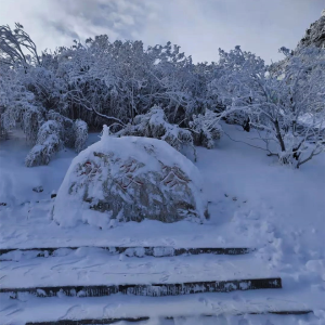 神农架：迎来2022年首场降雪 推出“六景区”联票优惠