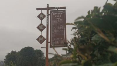 鹤峰铁炉：深山寻甘泉 清水进农家