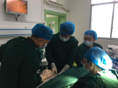 来凤县妇幼保健院顺利完成首例Dubuisson盆底重建术
