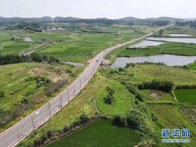 【乡村振兴】安陆接官乡：从农业大乡向农业强乡转变