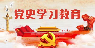 荆楚奋进动力源——我省开展党史学习教育纪实