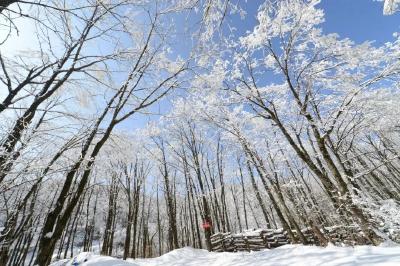 快来保康，与冰雪演绎一场激情约会吧！