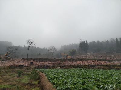 咸丰中寨坝村：有序推进高标准农田建设项目 助力乡村振兴