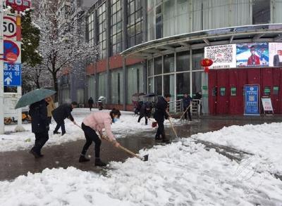 市政务服务和大数据管理局铲雪除冰为群众服务