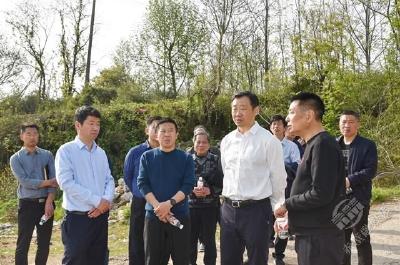 董方平徒步巡查陆水河时强调：构建河畅水清岸绿景美的自然生态