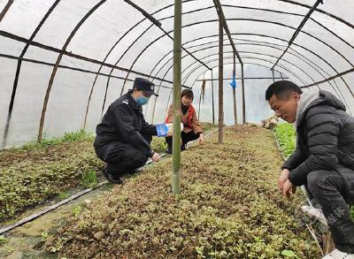 蒲圻街道：踏查铲毒不放松 源头遏制清隐患