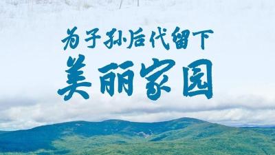 为子孙后代留下美丽家园——习近平总书记关心推动国土绿化纪实