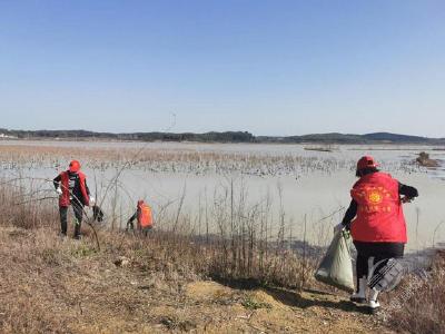 赤壁新时代文明实践 | 湿地谱新篇 巾帼展芳华 这个妇女节不一样